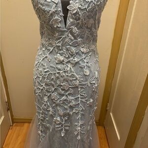 Elegant Lace Embroidered Dress